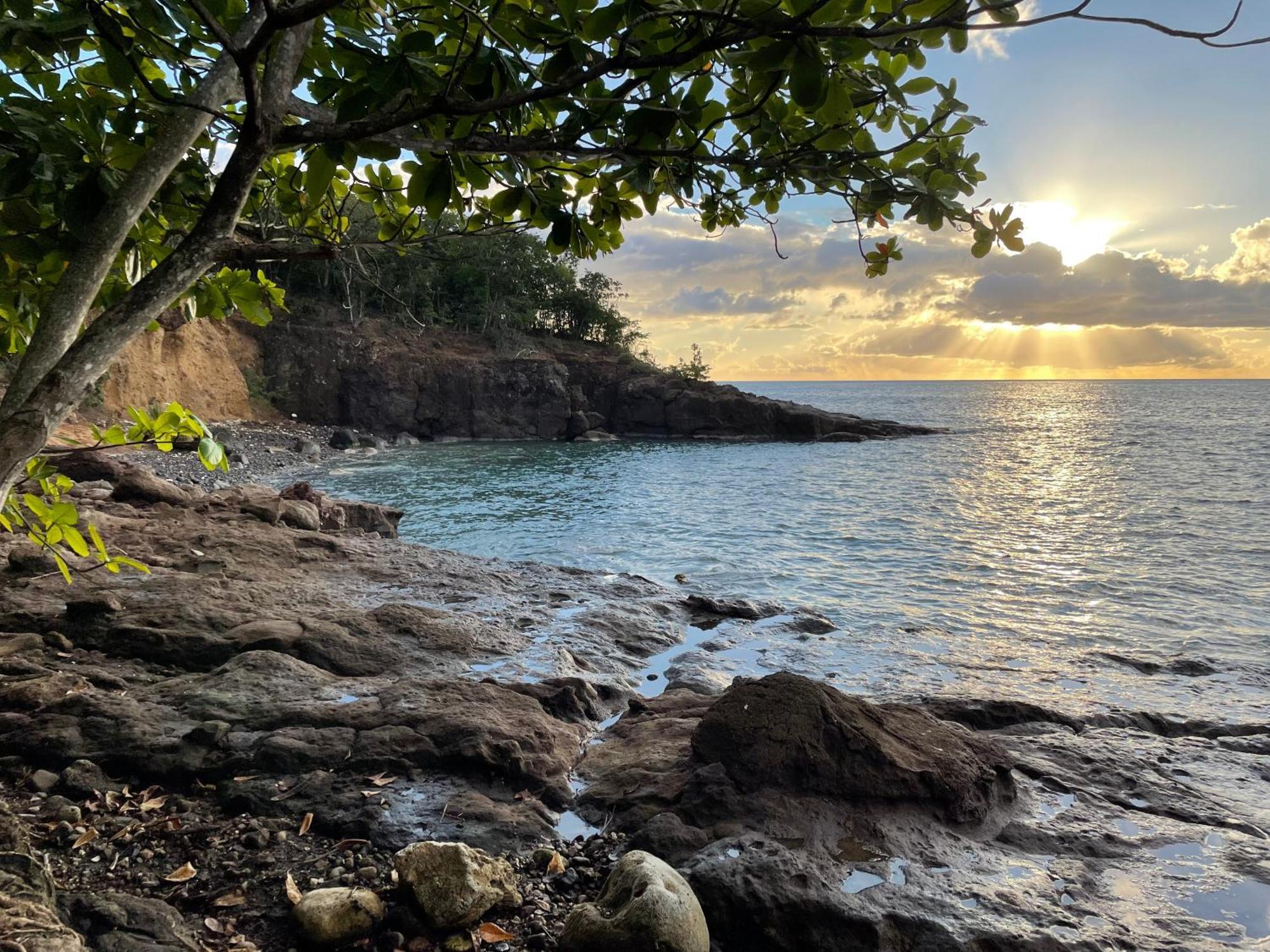 Villa Nature Caraibe Lodge, Vue Mer, Piscine Privee Deshaies Zewnętrze zdjęcie